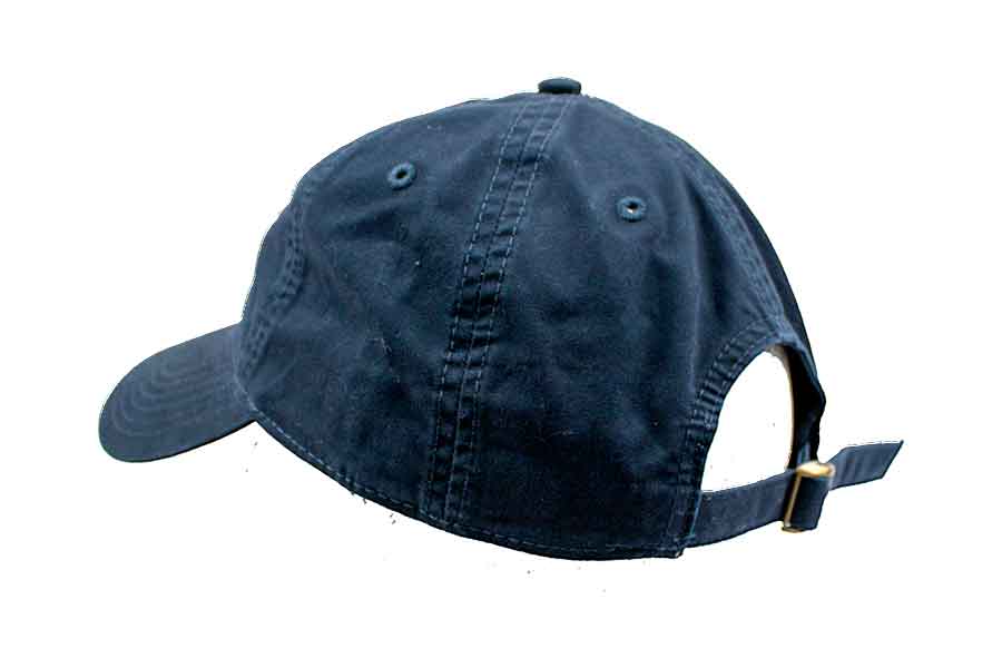Santa Barbara Surf Shop Palms Dad Hat - Image 3